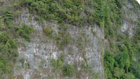 Close up of Karst Mountains Stock Footage 312962317