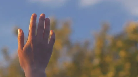 Close-up of keeping a one hand up to the sky in summer Stock Footage 66792286
