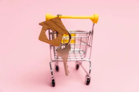 Close up of key with a keychain in mini pushcart on a pink background. Concep Stock Photos