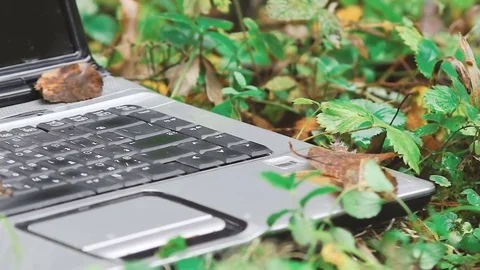 Close-up of a keyboard and a laptop touchpad on a picnic outdoor in the park Stock Footage 80983796