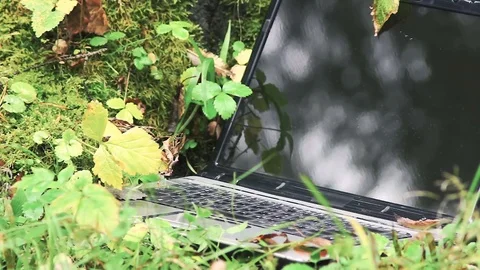 Close-up of a keyboard and a laptop touchpad in the autumn foliage of trees Stock Footage 80995650