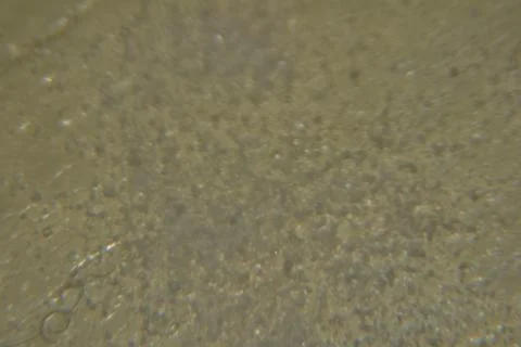 Close up of kitchen salt crystals  Stock Photos