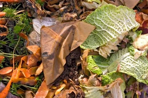 Close Up of Kitchen Waste on a Compost Heap Stock Photos