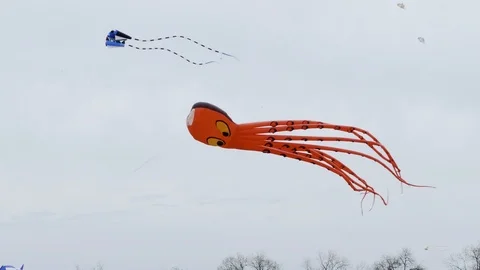 Close up of Kite shaped like Octopus Stock Footage 105964739