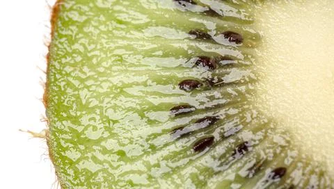 Close up of kiwi fruit and slice kiwi isolated on the white background Stock Photos