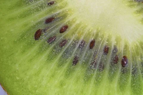 Close-up of a kiwi fruit slice in liquid with bubbles. Slice of ripe kiwi f.. 스톡 사진