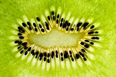 Close up of kiwi fruit slice Stock Photos