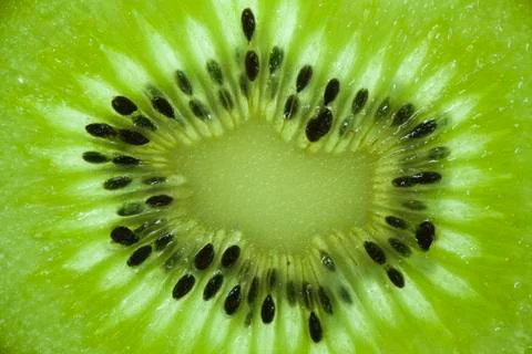 Close up of a kiwi Foto stock