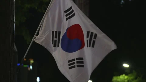 Close-up of Korean Flag Waving Vídeos de archivo 332481219