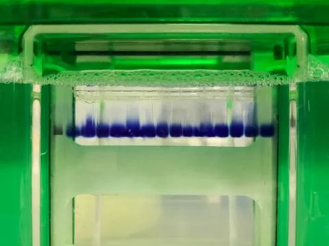 Close-up of a lab equipment to perform polyacrylamide gel electrophoresis Fotos de archivo