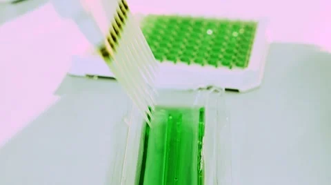 Close-up of lab technician injecting liquid into a microtiter plate Stock Footage 8662635