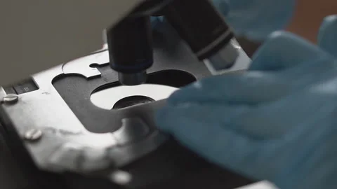 Close up.Lab technician looking through a microscope,close-up shot Stock Footage 95551377