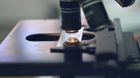 Close up.Lab technician looking through a microscope,close-up shot Stock Footage 99835594