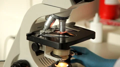 Close up.Lab technician looking through a microscope,close-up shot. Test covid Stock Footage 130929529