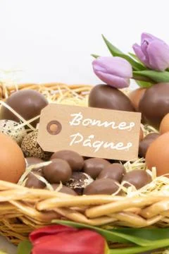 Close-up label with text Happy Easter surrounded by chocolate eggs and tulip Stock Photos