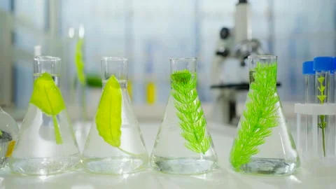Close-up laboratory plant research microscope and test tubes with plants nobody Stock Footage 197419325