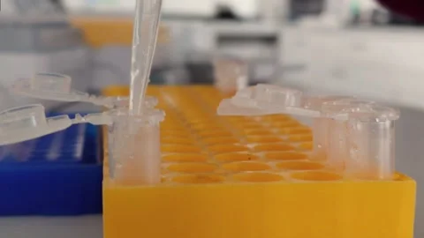 Close-up of laboratory setting, showing a pipette transferring liquid into Video stock 301399120