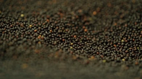 Close-up laborer mixes rapeseed while roasting 스톡 동영상 98126115