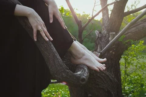Close up lady sitting on tree concept photo Stock Photos