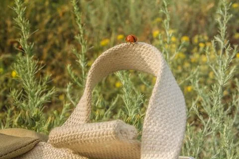 Close up ladybug on bag handle in summer field concept photo Photos
