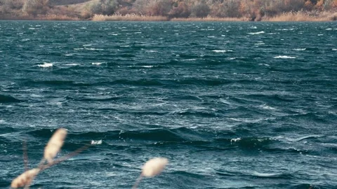 Close-up of the lake waves in the wind Vídeos de archivo 329741215