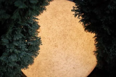 Close-up lamp between pine or thuja looks like the moon Stock Photos