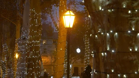 CLOSE UP: Lamp lights up the festive Christmas park on a cold night in Zagreb. Stock Footage 120186355