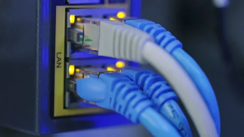 Close-up of LAN network cables plugged into switch panel Stock Footage 310207628