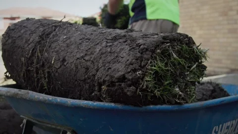 Close-up of a landscaper in high-visibility workwear handling rolls of fresh Vidéo 333458351
