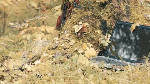 Close-up of a laptop among a yellow withered autumn grass and leaves Video stock 80983642