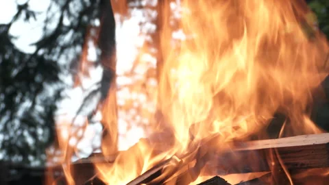 Close Up Large Campfire Burning In Forest Stock Footage 318044277