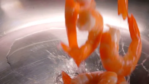 Close-up of large delicious shrimps falling in a water with splashes Stock Footage 132517525