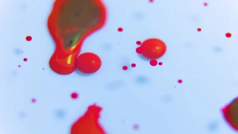 Close up of a Large drops of red paint fall in oil. Stock-Footage 189816598