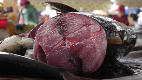A close-up of a large fish with a pinkish interior, displayed on a market table Stock Footage 314665062
