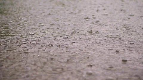 Close-up, large, heavy drops of rain, rainfall, shower, fall with Water splashes Stock-Footage 90872901