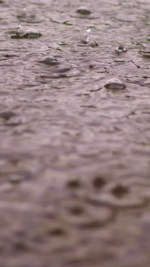 Close-up, large, heavy drops of rain, rainfall, shower, fall with Water splashes Stock Footage 310796689