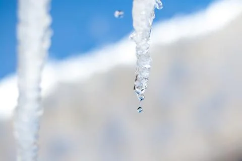 Close up of a large icicle dripping as it melts Stock Photos