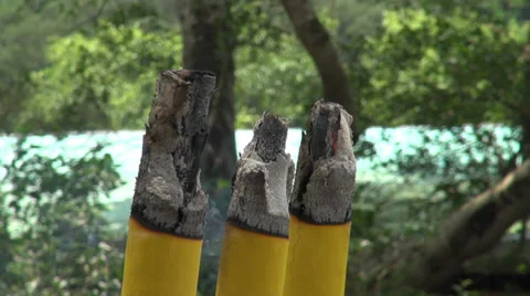 Close up large incense (Joss-sticks) burning Stock Footage 39742328