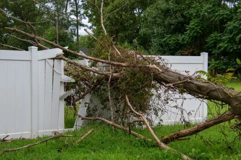 Close up of a large limb that fell off a tree destroying part of a white meta Stock Photos