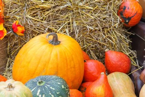 Close up of large orange pumpkin on straw bale, autumn harvest, fall and Th.. Stockfoto's
