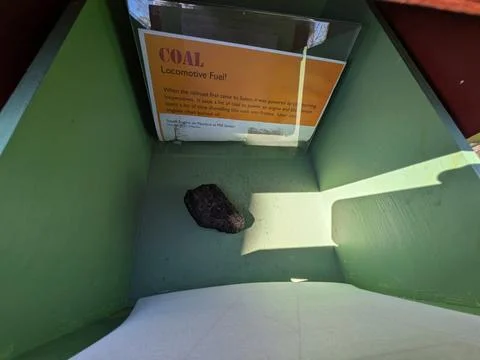 Close-up of a large piece of coal displayed in a green exhibit box Фото