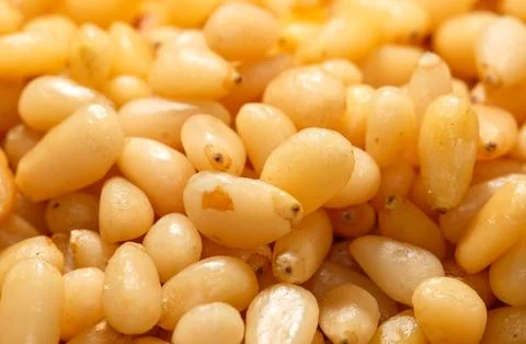 A close-up of a large pile of pine nuts. The nuts are mostly white with a s.. Stock Photos