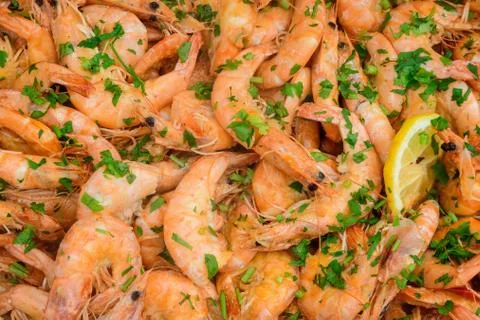 Close up of large portion of cooked shrimps with tomato sauce Stock Photos