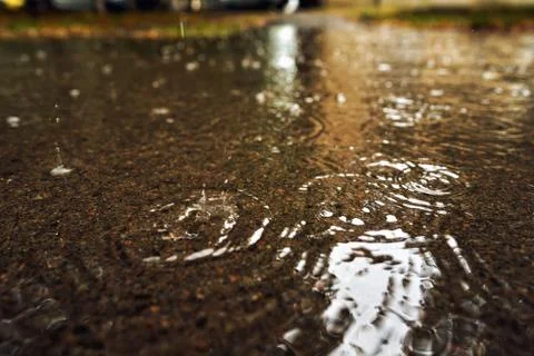 Close-up of a large puddle during rain. On the surface of the water splashes Stock Photos