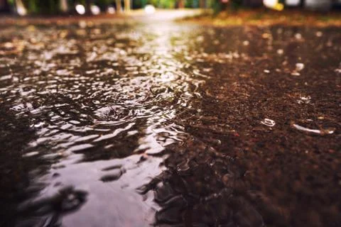 Close-up of a large puddle during rain. On the surface of the water splashes Stock Photos