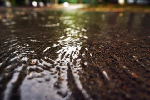 Close-up of a large puddle during rain. On the surface of the water splashes Stock Photos