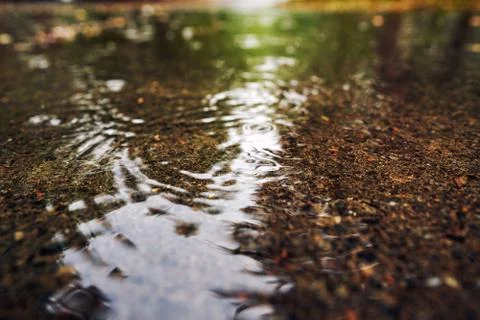 Close-up of a large puddle during rain. On the surface of the water splashes Stock Photos
