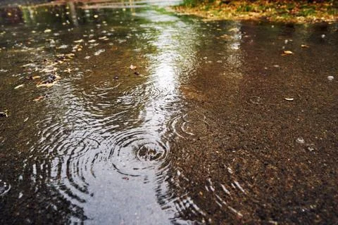 Close-up of a large puddle during rain. On the surface of the water splashes Stock Photos