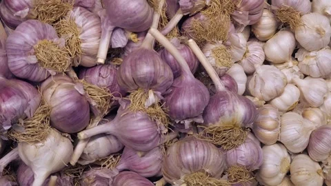 Close-up of a large quantity of several types of garlic Stock Footage 295803274