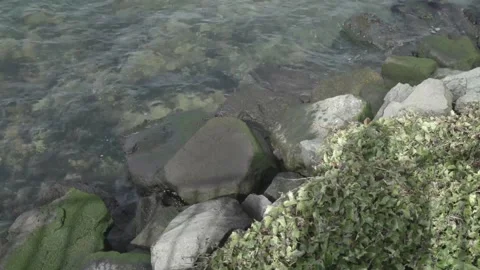 A close up of a large rock Stock Footage 155583590